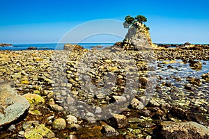 Landscape of the high tides of the minokake-rocks at izu.