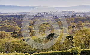 Landscape of the High Weald in Sussex looking over the tree tops in spring - early morning