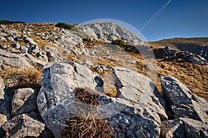 landscape of hiking paradise Schneeberg, mountain peak with mountain, rocks, clouds, and blue sky