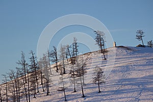 Landscape of hill covered by snow and pine tree near Khovsgol in Mongolia