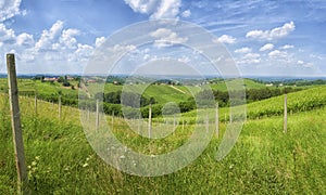 Landscape of a hill, Medimurje