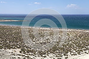 Landscape from the hill near Puerto Madryn, a city in Chubut Province, Patagonia, Argentina