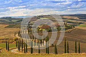 Landscape of hills, country road, cypresses trees and rural houses,Tuscany