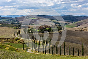 Landscape of hills, country road, cypresses trees and rural houses,Tuscany