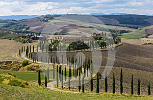 Landscape of hills, country road, cypresses trees and rural houses,Tuscany