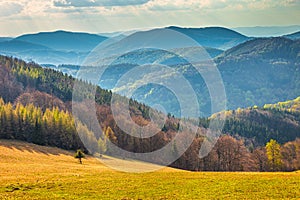 Landscape with hills covered with forests