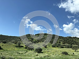 Landscape with hills in Loiri Porto San Paolo