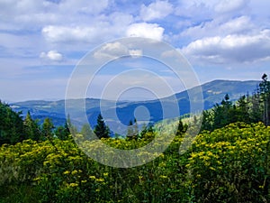 Landscape on hills and meadows of Silesian Beskid in Poland