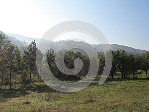 Landscape with hills and trees