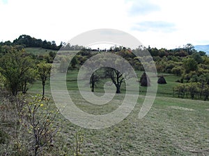 Landscape with hills and trees