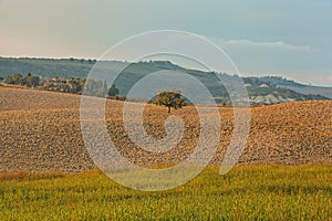 Landscape of hills tuscany in autumn in Italy