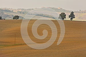 Landscape of hills tuscany in autumn in Italy