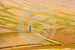 Landscape of hills tuscany in autumn in Italy