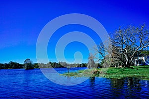 Landscape of Hillsborough river