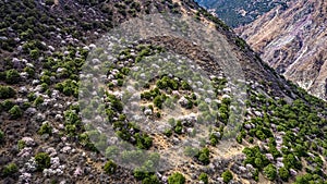 Landscape of a hillside in the Mangkang