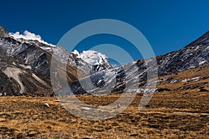 Landscape of Himalaya mountains and meadow at Kongma Dingma campsite between Mera peak and Amphulapcha high pass, Nepal photo