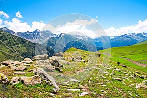 Landscape in the Himalayas Panoramic view from the top of Sonmarg, Nepal\'s Kashmir valley in the Himalayan region India.