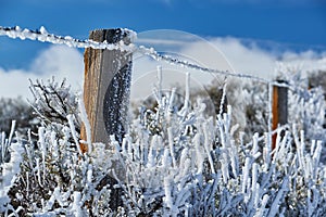 Landscape with hoarfrost on the fence