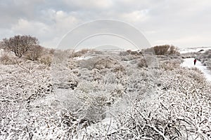 Landscape at Hollands Duin in winter