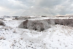 Landscape at Hollands Duin in winter