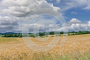 Landscape in Holstein Switzerland,Schleswig-Holstein,Germany