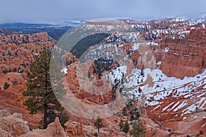 Landscape of the Hoodoos of Bryce Canyon National Park