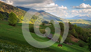 Landscape with a horse in the Carpathian mountains