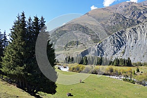 Landscape with horse. Kyrgyzstan