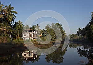 Landscape: house in the palm trees