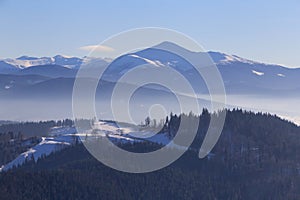 Landscape with Hoverla mountain