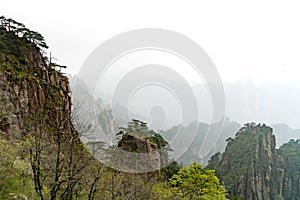 Landscape of Huangshan mountain Yellow mountain, Anhui, China with a black birds