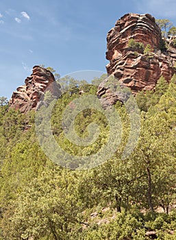Landscape with huge rocks and pine tree forest in Spain