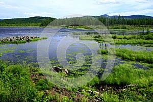 Landscape of Hulunbuir Grasslands