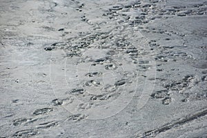 Landscape with ice on the river and footprints