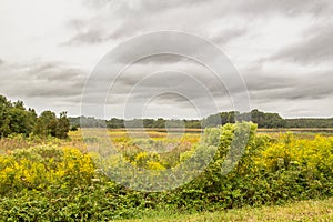 Landscape image at Bombay Hook NWR in Delaware with a field of goldenrod and a stormy, cloudy sky . photo