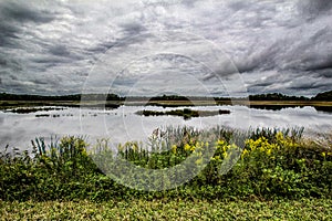Landscape image at Bombay Hook NWR in Delaware with goldenrod in the foreground and a stormy sky in the background. photo