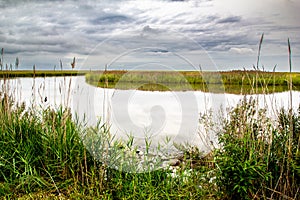 Landscape image with a stormy sky and a grassy island at Bombay Hook NWR in Delaware Bombay Hook National Wildlife Refuge photo
