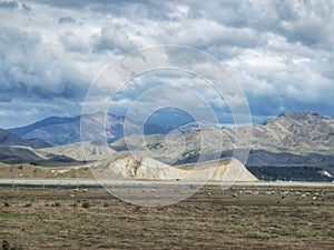 Landscape image of Mackenzie Country plains in New Zealand with scattered sheep and cloudy sky photo