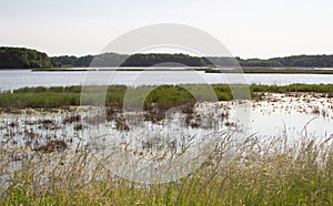 Landscape image of the marsh in Bombay Hook NWR.