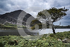 Landscape image of mountain reflected in still lake on Summer mo