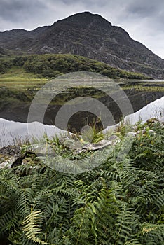 Landscape image of mountain reflected in still lake on Summer mo