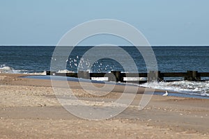 Landscape image of one of the jetties on the beach with sandpipers and seagulls in Rehoboth Delaware.