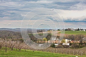 Landscape image of Pennsylvania farmland with cherry tree orchard in the foreground.