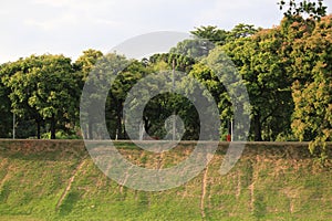 Landscape image from Quinta da Boa Vista public park photo