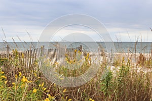 Landscape image of the seashore in Rehoboth Beach Delaware.