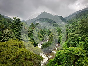 Landscape image of Thusharagiri Falls between dense green forest in Wayanad, Kerala, India