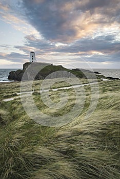 Landscape image of Twr Mawr lighthouse with windy grassy footpath in foreground at sunset