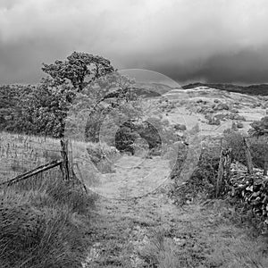 Landscape image of view from Precipice Walk in Snowdonia overlooking Barmouth and Coed-y-Brenin forest during rainy afternoon in