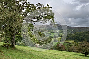 Landscape image of view from Precipice Walk in Snowdonia overlooking Barmouth and Coed-y-Brenin forest during rainy afternoon in