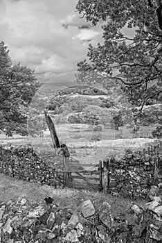 Landscape image of view from Precipice Walk in Snowdonia overlooking Barmouth and Coed-y-Brenin forest during rainy afternoon in